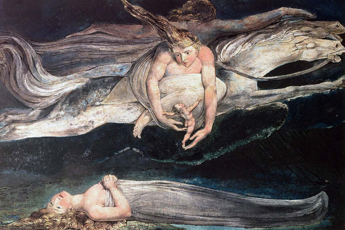 Divine Comedy
